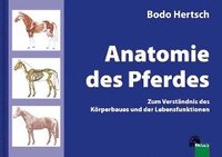 Anatomie des Pferdes (inbunden)
