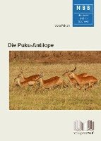 Die Puku-Antilope (häftad)