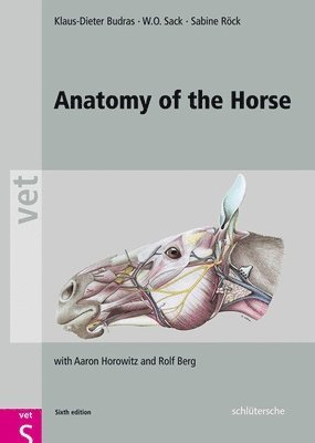 Anatomy of the Horse (inbunden)