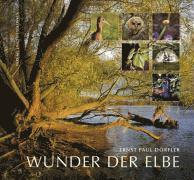 Wunder der Elbe (inbunden)