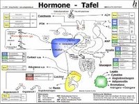 Hormone Tafel (hftad)