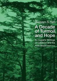 A Decade of Turmoil and Hope (häftad)