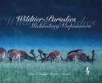 Wildtier-Paradies Mecklenburg-Vorpommern (inbunden)