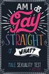Am I Gay, Straight or What? Male Sexuality Test