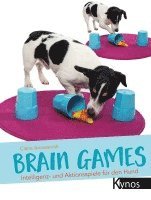 Brain Games (kartonnage)