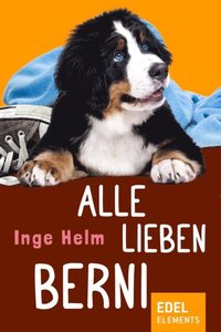 Alle lieben Berni (e-bok)