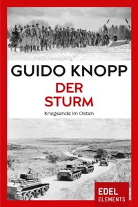 Der Sturm (e-bok)