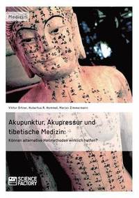 Akupunktur, Akupressur und tibetische Medizin (häftad)