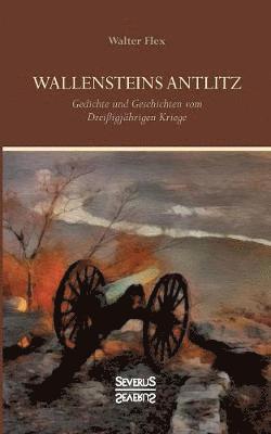 Wallensteins Antlitz (hftad)