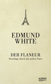 Der Flaneur (e-bok)