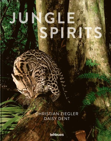 Jungle Spirits (inbunden)