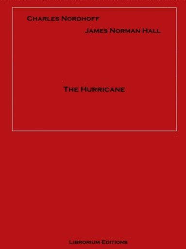 Hurricane (e-bok)