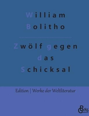Zwölf gegen das Schicksal (häftad)
