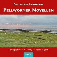 Pellwormer Novellen (pussel)