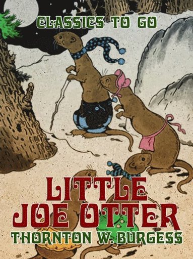 Little Joe Otter (e-bok)