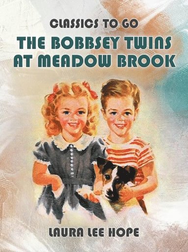 The Bobbsey Twins At Meadow Brook (e-bok)