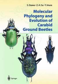 Molecular Phylogeny and Evolution of Carabid Ground Beetles (inbunden)
