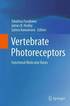 Vertebrate Photoreceptors