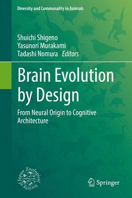 Brain Evolution by Design (inbunden)