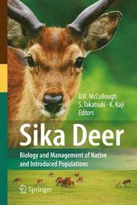 Sika Deer (hftad)