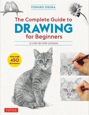 Complete Guide to Drawing for Beginners (h�ftad)
