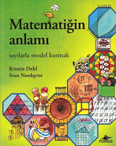 Matte med mening (Turkiska) (hftad)