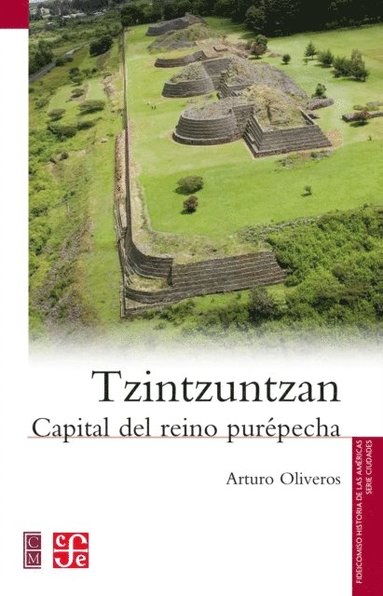 Tzintzuntzan (e-bok)