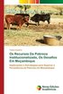 Os Recursos Da Pobreza Institucionalizada, Os Desafos Em Moambique