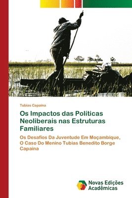 Os Impactos das Políticas Neoliberais nas Estruturas Familiares (häftad)