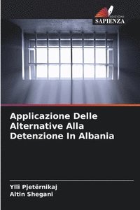 Applicazione Delle Alternative Alla Detenzione In Albania (häftad)