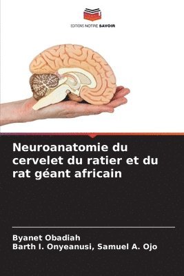 Neuroanatomie du cervelet du ratier et du rat gant africain - Byanet ...