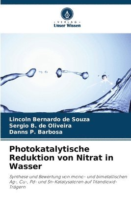 Photokatalytische Reduktion von Nitrat in Wasser (häftad)
