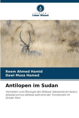 Antilopen im Sudan