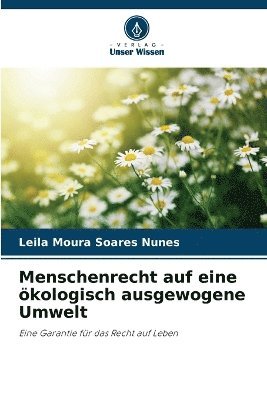 Menschenrecht auf eine ökologisch ausgewogene Umwelt (häftad)