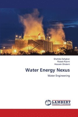 Water Energy Nexus (inbunden)