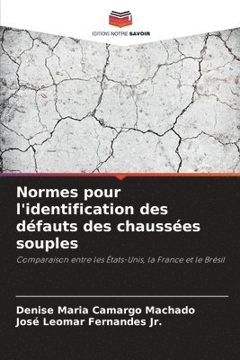 Normes pour l'identification des dfauts des chausses souples (inbunden)