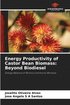 Energy Productivity of Castor Bean Biomass