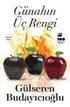 G�nahin �c Rengi