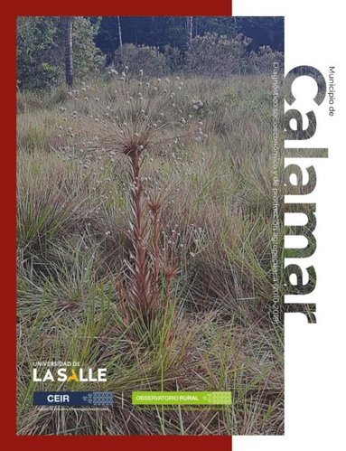 Municipio de Calamar (Guaviare) (pocket)