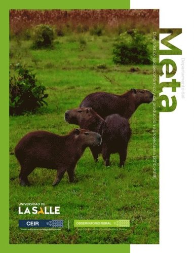 Departamento del Meta (pocket)