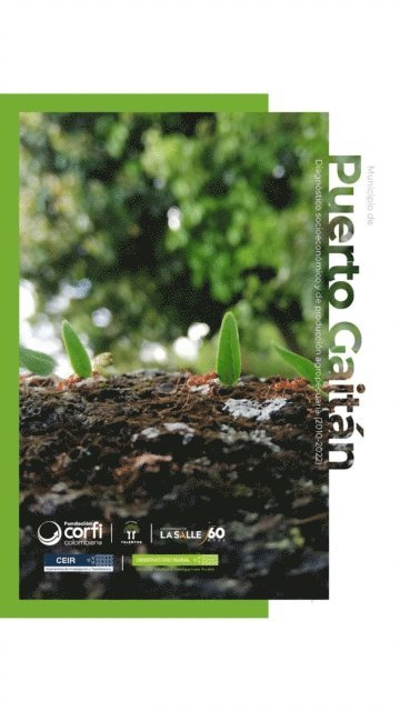 Municipio de Puerto Gaitán (Meta) (pocket)