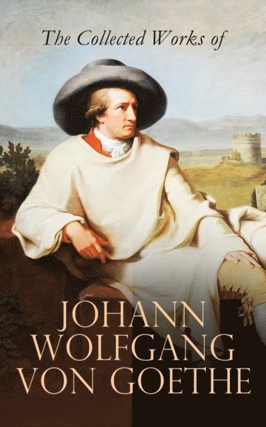 Collected Works of Johann Wolfgang von Goethe (e-bok)