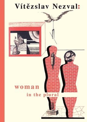Woman in the Plural (hftad)