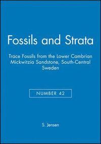 Trace Fossils from the Lower Cambrian Mickwitzia Sandstone, South-Central Sweden (hftad)