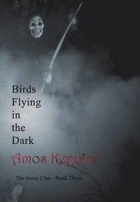 Birds Flying in the Dark (inbunden)