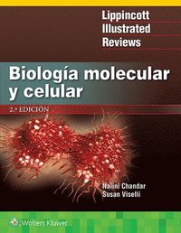 Biologia molecular y celular (häftad)