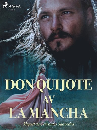 Don Quijote av la Mancha