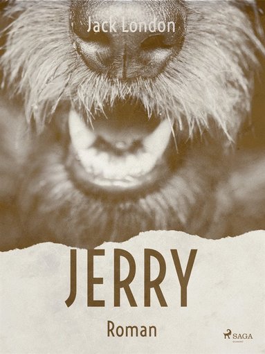 Jerry (e-bok)