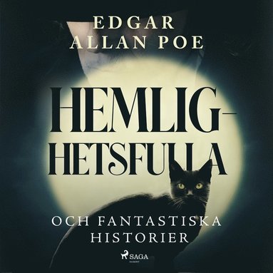 Hemlighetsfulla och fantastiska historier (ljudbok)