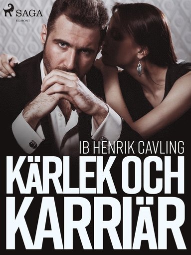 Krlek och karrir (pocket)